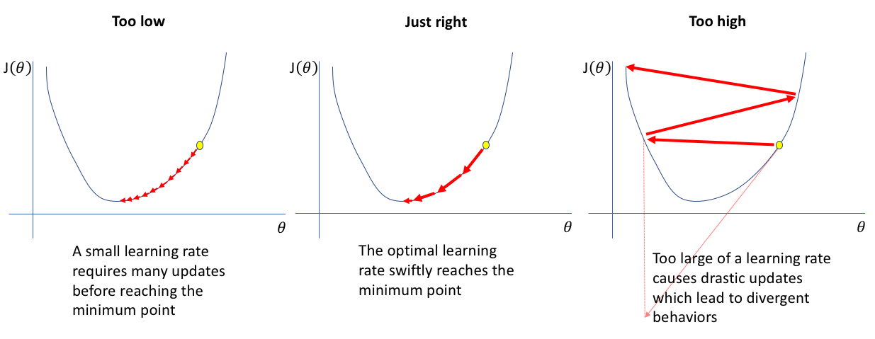 different_learning_rates.png